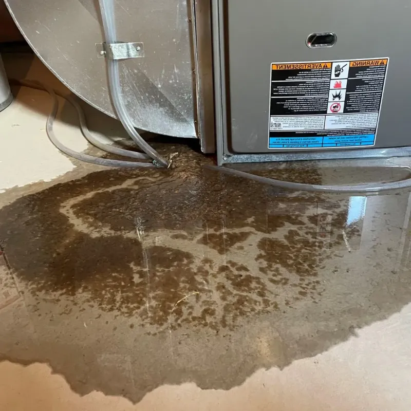 Pipe Burst and Leak Restoration in Edgemere, MD