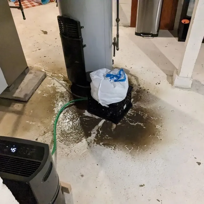Sewage Backup Cleanup Service in Edgemere, MD